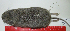  ( - CMI AN36)  @11 [ ] Unspecified (default): All Rights Reserved  Unspecified Unspecified