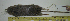  ( - CMI RAO145)  @12 [ ] Unspecified (default): All Rights Reserved  Unspecified Unspecified