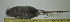  ( - CMI RAO1168)  @13 [ ] Unspecified (default): All Rights Reserved  Unspecified Unspecified