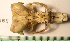  ( - CMI AO18)  @13 [ ] Unspecified (default): All Rights Reserved  Unspecified Unspecified