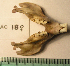  ( - CMI AO18)  @12 [ ] Unspecified (default): All Rights Reserved  Unspecified Unspecified