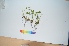  ( - AQA_5)  @11 [ ] Copyright (2013) PHCDBS Paul Hebert Center for DNA Barcoding and Biodiversity Studies