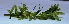  ( - AQPR3)  @11 [ ] Copyright (2014) PHCDBS Paul Hebert Centre For DNA Barcoding And Biodiversity Studies