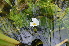  ( - AW_14)  @11 [ ] Copyright (2013) PHCDBS Paul Hebert Center for DNA Barcoding and Biodiversity Studies