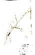  ( - OM0638)  @11 [ ] No Rights Reserved  Unspecified Unspecified