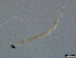  ( - PHP19_0824)  @11 [ ] Copyright (2021) Unspecified Swiss Federal Research Institute WSL
