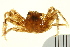  ( - AINV-045)  @13 [ ] CreativeCommons - Attribution (2012) CBG Photography Group Centre for Biodiversity Genomics