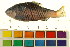  ( - BOX-3188 F03)  @14 [ ] CreativeCommons - Attribution (2011) CBG Photography Group Centre for Biodiversity Genomics