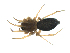  ( - BIOUG07166-E11)  @11 [ ] CreativeCommons - Attribution (2013) G. Blagoev Centre for Biodiversity Genomics