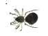  ( - BIOUG07167-F08)  @13 [ ] CreativeCommons - Attribution (2013) G. Blagoev Centre for Biodiversity Genomics