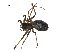  ( - BIOUG07168-H09)  @13 [ ] CreativeCommons - Attribution (2013) G. Blagoev Centre for Biodiversity Genomics