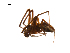  ( - BIOUG12610-D02)  @13 [ ] CreativeCommons - Attribution (2014) G. Blagoev Centre for Biodiversity Genomics