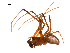  ( - BIOUG12610-D03)  @13 [ ] CreativeCommons - Attribution (2014) G. Blagoev Centre for Biodiversity Genomics