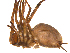  ( - BIOUG14290-A11)  @12 [ ] CreativeCommons - Attribution (2014) G. Blagoev Centre for Biodiversity Genomics