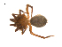  ( - BIOUG14290-E02)  @13 [ ] CreativeCommons - Attribution (2014) G. Blagoev Centre for Biodiversity Genomics