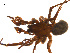  ( - BIOUG14290-G06)  @12 [ ] CreativeCommons - Attribution (2014) G. Blagoev Centre for Biodiversity Genomics