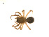  ( - BIOUG14291-C04)  @13 [ ] CreativeCommons - Attribution (2014) G. Blagoev Centre for Biodiversity Genomics
