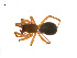  ( - BIOUG14291-C05)  @13 [ ] CreativeCommons - Attribution (2014) G. Blagoev Centre for Biodiversity Genomics