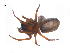  ( - BIOUG14293-B04)  @12 [ ] CreativeCommons - Attribution (2014) G. Blagoev Centre for Biodiversity Genomics
