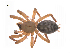  ( - BIOUG14293-B07)  @13 [ ] CreativeCommons - Attribution (2014) G. Blagoev Centre for Biodiversity Genomics