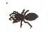  ( - BIOUG14293-E04)  @12 [ ] CreativeCommons - Attribution (2014) G. Blagoev Centre for Biodiversity Genomics