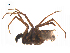  ( - BIOUG14293-F09)  @12 [ ] CreativeCommons - Attribution (2014) G. Blagoev Centre for Biodiversity Genomics