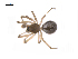  ( - BIOUG14294-B05)  @13 [ ] CreativeCommons - Attribution (2014) G. Blagoev Centre for Biodiversity Genomics