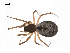  ( - BIOUG14294-B10)  @13 [ ] CreativeCommons - Attribution (2014) G. Blagoev Centre for Biodiversity Genomics
