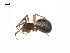  ( - BIOUG14294-B11)  @12 [ ] CreativeCommons - Attribution (2014) G. Blagoev Centre for Biodiversity Genomics