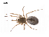  ( - BIOUG14294-C02)  @13 [ ] CreativeCommons - Attribution (2014) G. Blagoev Centre for Biodiversity Genomics
