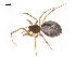  ( - BIOUG14294-C10)  @13 [ ] CreativeCommons - Attribution (2014) G. Blagoev Centre for Biodiversity Genomics