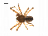  ( - BIOUG14295-G09)  @13 [ ] CreativeCommons - Attribution (2014) G. Blagoev Centre for Biodiversity Genomics