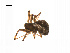  ( - BIOUG14295-G11)  @13 [ ] CreativeCommons - Attribution (2014) G. Blagoev Centre for Biodiversity Genomics