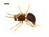  ( - BIOUG14295-H05)  @11 [ ] CreativeCommons - Attribution (2014) G. Blagoev Centre for Biodiversity Genomics