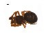  ( - BIOUG14297-C04)  @12 [ ] CreativeCommons - Attribution (2014) G. Blagoev Centre for Biodiversity Genomics