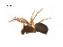  ( - BIOUG14297-H03)  @11 [ ] CreativeCommons - Attribution (2014) G. Blagoev Centre for Biodiversity Genomics