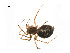  ( - BIOUG14297-H06)  @11 [ ] CreativeCommons - Attribution (2014) G. Blagoev Centre for Biodiversity Genomics