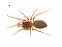  ( - BIOUG14298-B02)  @13 [ ] CreativeCommons - Attribution (2014) G. Blagoev Centre for Biodiversity Genomics