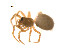  ( - BIOUG14298-D04)  @13 [ ] CreativeCommons - Attribution (2014) G. Blagoev Centre for Biodiversity Genomics