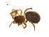  ( - BIOUG14298-F04)  @12 [ ] CreativeCommons - Attribution (2014) G. Blagoev Centre for Biodiversity Genomics