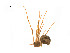  ( - BIOUG14298-G09)  @12 [ ] CreativeCommons - Attribution (2014) G. Blagoev Centre for Biodiversity Genomics