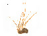  ( - BIOUG14298-G11)  @12 [ ] CreativeCommons - Attribution (2014) G. Blagoev Centre for Biodiversity Genomics