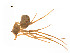  ( - BIOUG14298-G12)  @12 [ ] CreativeCommons - Attribution (2014) G. Blagoev Centre for Biodiversity Genomics