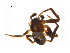  ( - BIOUG14298-H11)  @12 [ ] CreativeCommons - Attribution (2014) G. Blagoev Centre for Biodiversity Genomics