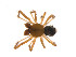  ( - BIOUG14299-D09)  @12 [ ] CreativeCommons - Attribution (2014) G. Blagoev Centre for Biodiversity Genomics