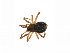  ( - BIOUG14299-D11)  @13 [ ] CreativeCommons - Attribution (2014) G. Blagoev Centre for Biodiversity Genomics