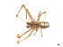  ( - BIOUG14300-A12)  @13 [ ] CreativeCommons - Attribution (2014) G. Blagoev Centre for Biodiversity Genomics