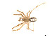  ( - BIOUG14300-B01)  @12 [ ] CreativeCommons - Attribution (2014) G. Blagoev Centre for Biodiversity Genomics