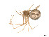  ( - BIOUG14300-B03)  @12 [ ] CreativeCommons - Attribution (2014) G. Blagoev Centre for Biodiversity Genomics