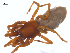  ( - BIOUG25736-A08)  @11 [ ] CreativeCommons - Attribution (2015) G. Blagoev Centre for Biodiversity Genomics